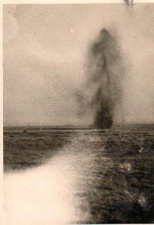 Images/Result 1.jpg